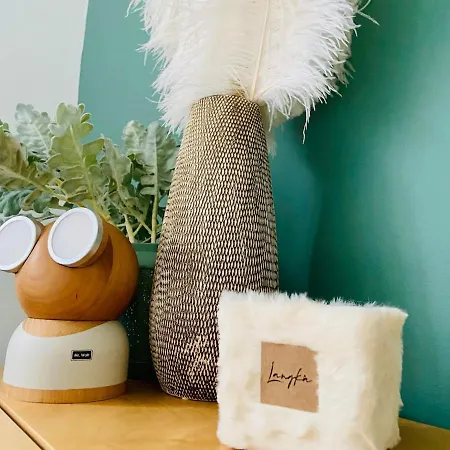 Face Au Chateau De Thy